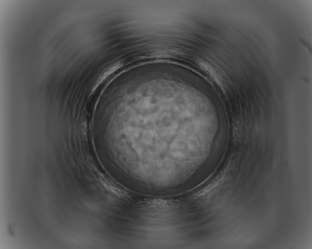 X0000091910827200709191318