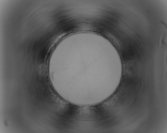 X0000091910828200709191318