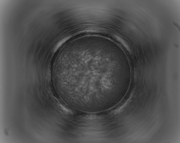 X0000091910829200709191318