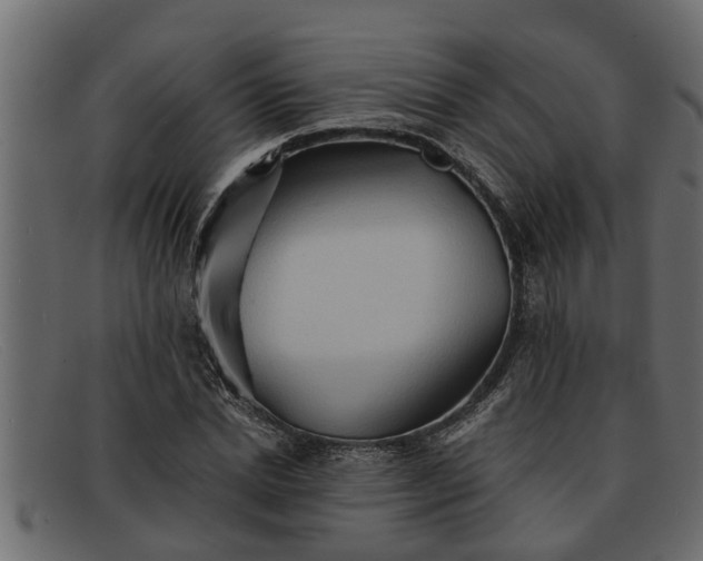 X0000091910830200709191318