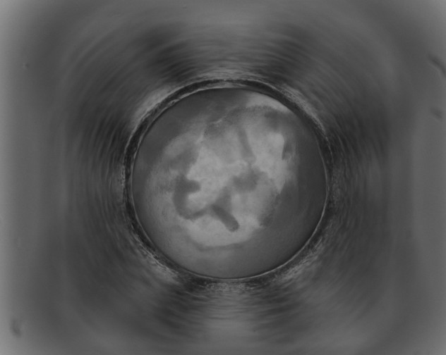 X0000091910831200709191318