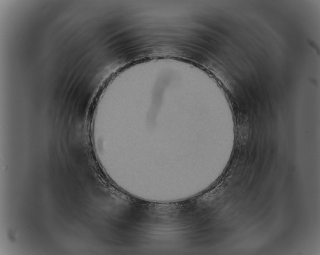 X0000091910832200709191318