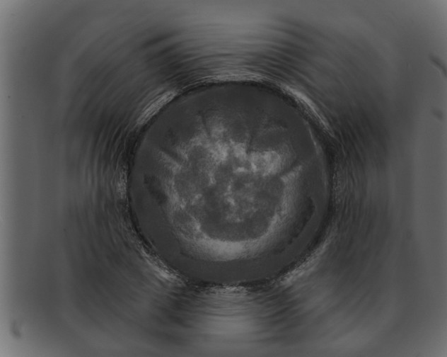 X0000091910833200709191318