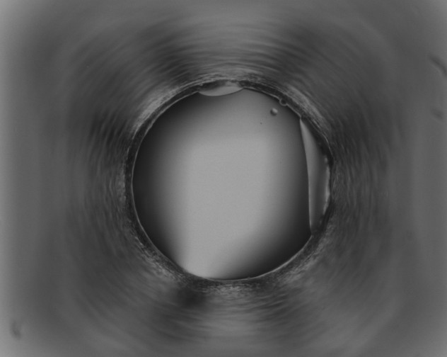 X0000091910834200709191318