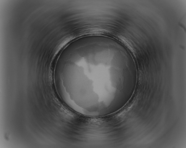 X0000091910835200709191318