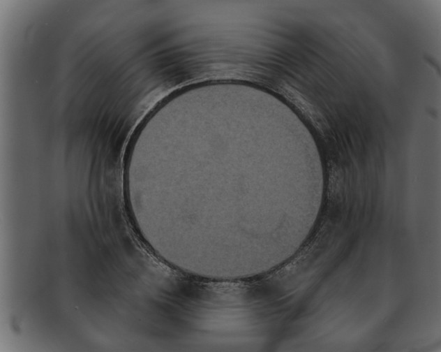 X0000091910836200709191318