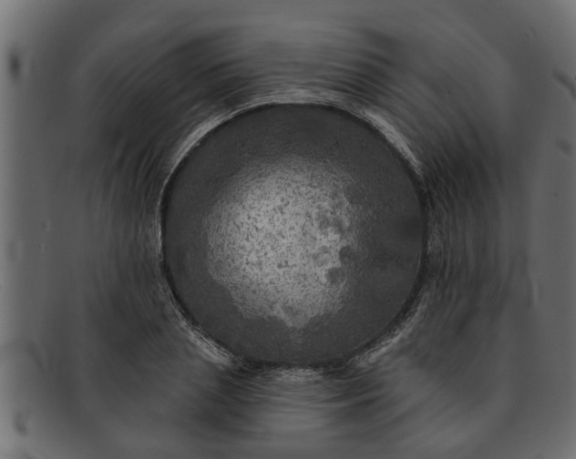 X0000091910837200709191318