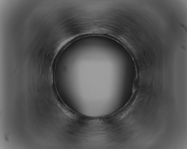 X0000091910838200709191318