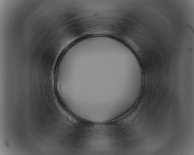 X0000091910840200709191318