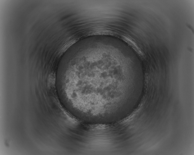 X0000091910841200709191318