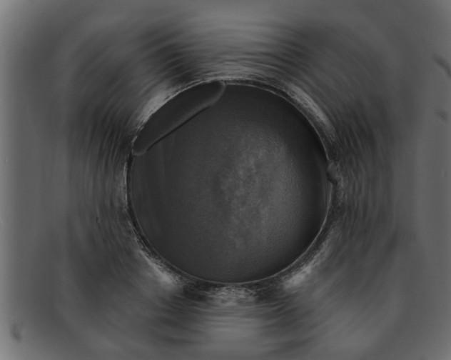 X0000091910842200709191318