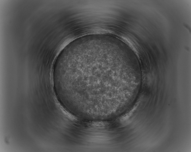 X0000091910843200709191318