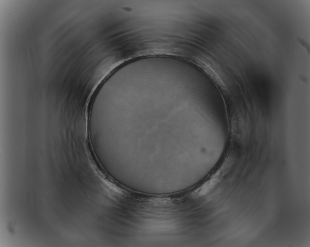 X0000091910844200709191318