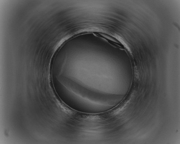 X0000091910845200709191318