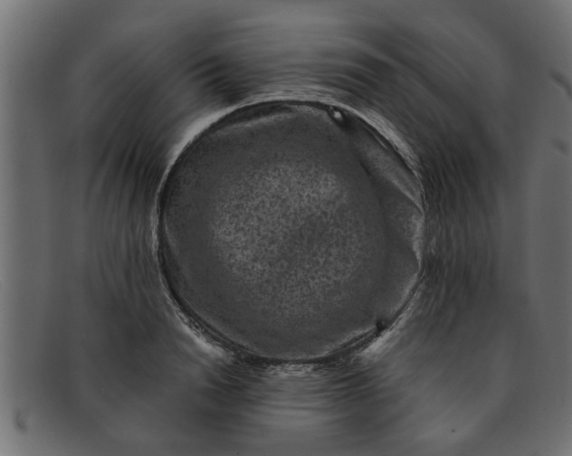 X0000091910846200709191318