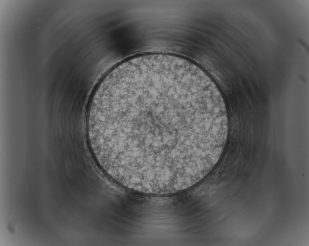 X0000091910848200709191318