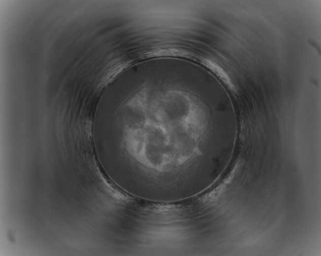 X0000091910849200709191318