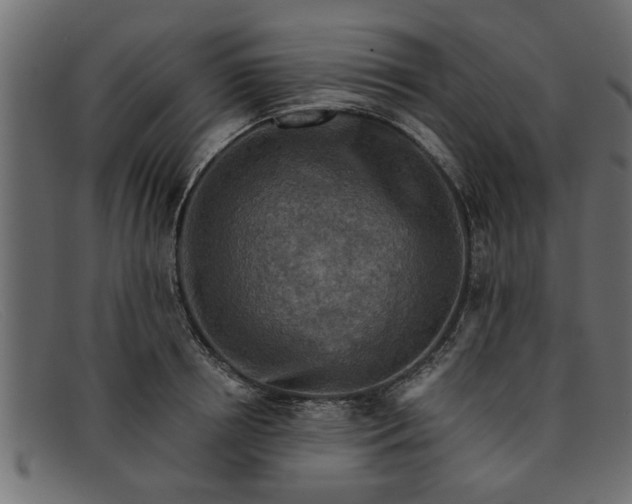 X0000091910850200709191318