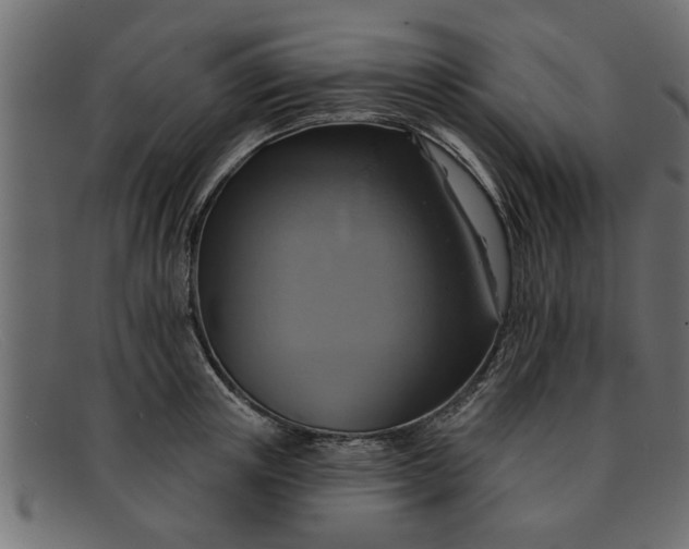 X0000091910851200709191318