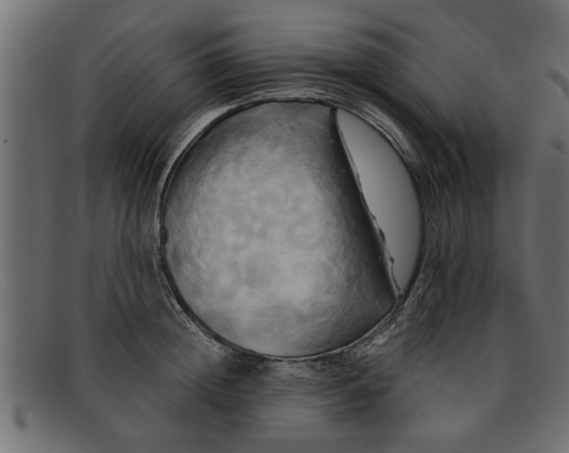 X0000091910852200709191318