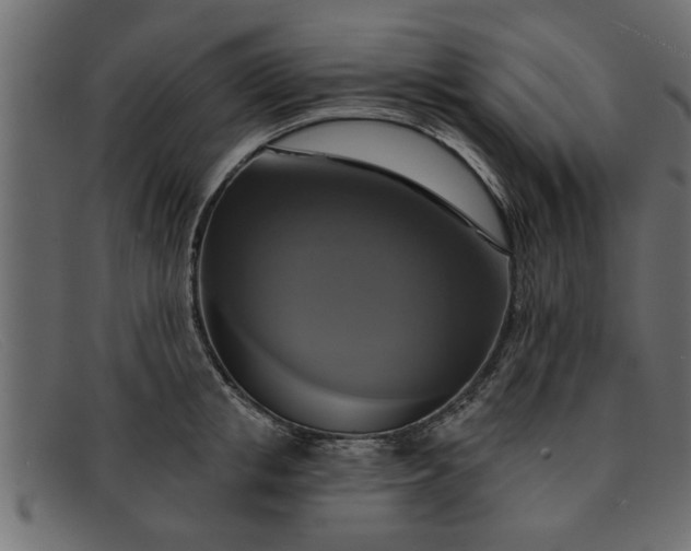 X0000091910853200709191318