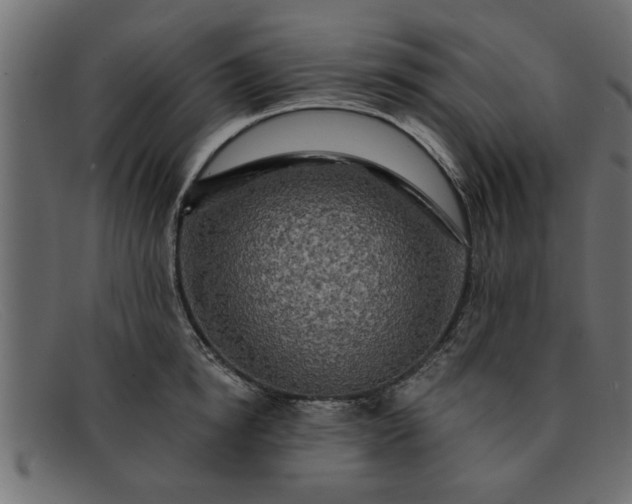 X0000091910854200709191318