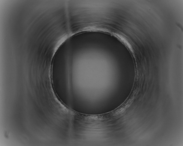 X0000091910855200709191318