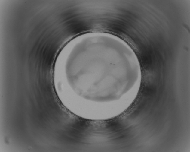 X0000091910856200709191318