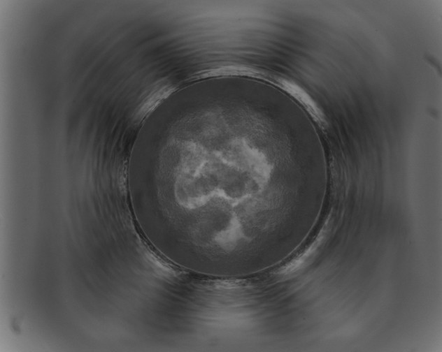 X0000091910857200709191318