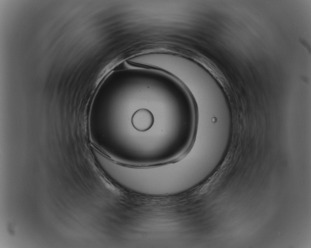 X0000091910858200709191318