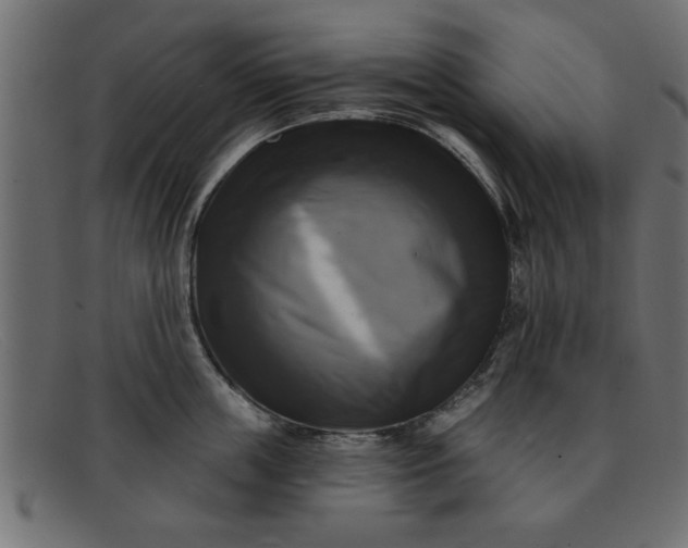 X0000091910859200709191318