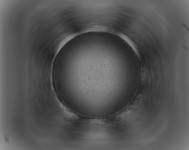 X0000091910861200709191318