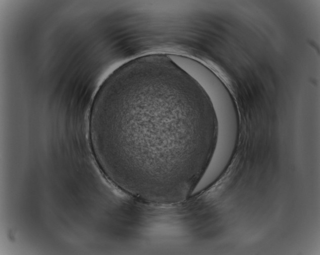 X0000091910862200709191318