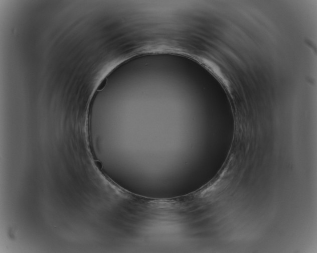 X0000091910863200709191319