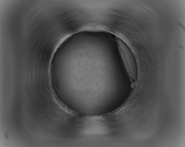 X0000091910864200709191319