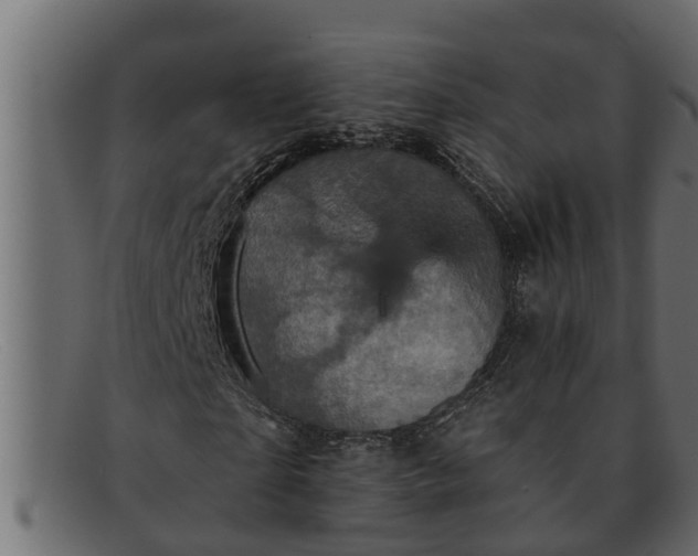 X0000091910865200709191318