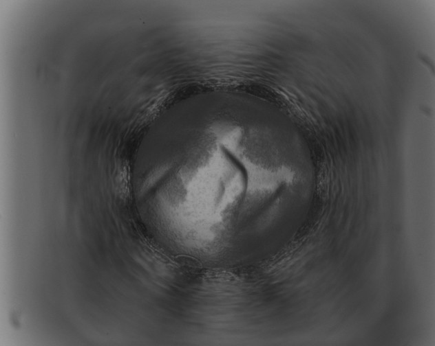 X0000091910866200709191318