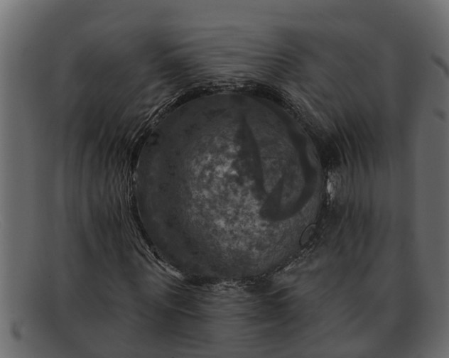 X0000091910867200709191318