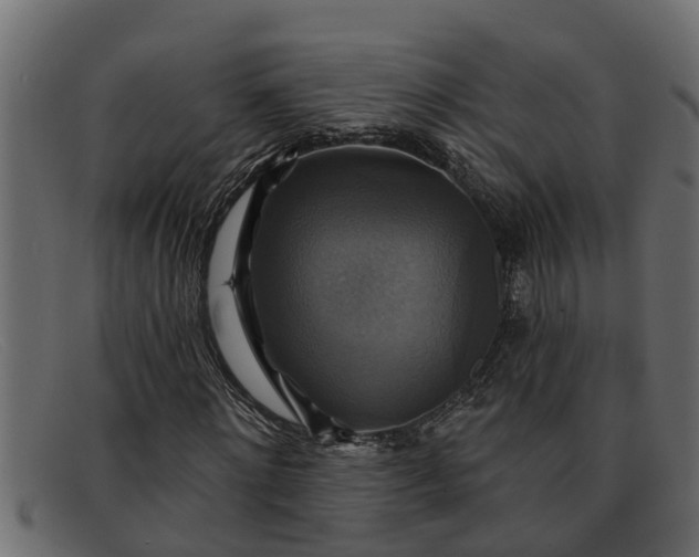 X0000091910868200709191318