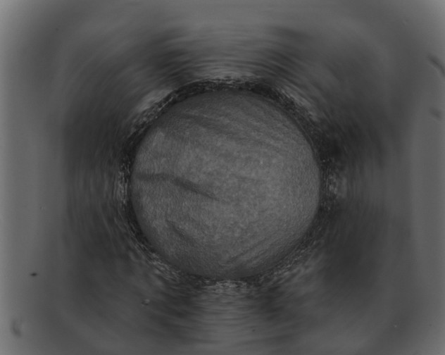 X0000091910869200709191318