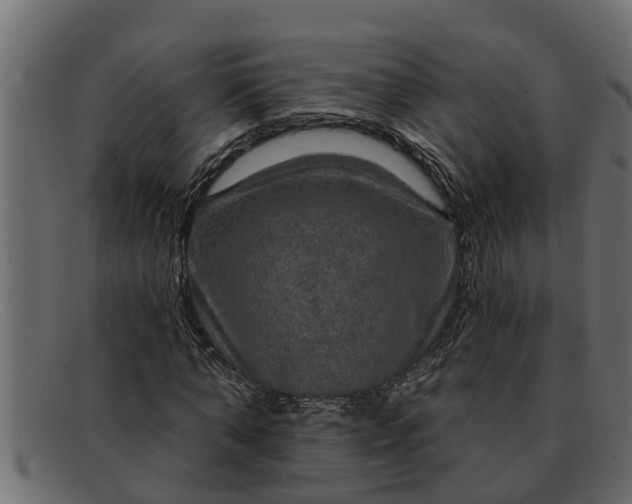 X0000091910870200709191318