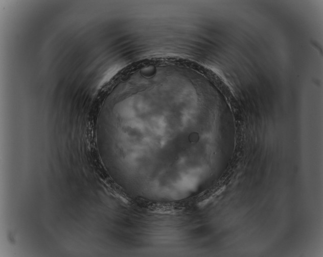 X0000091910871200709191318