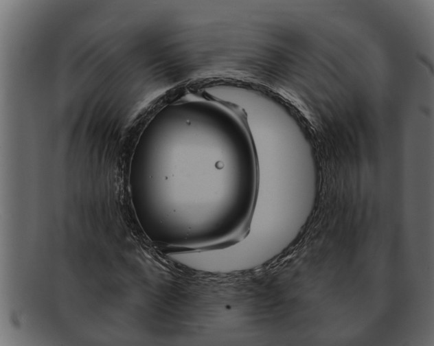 X0000091910872200709191318