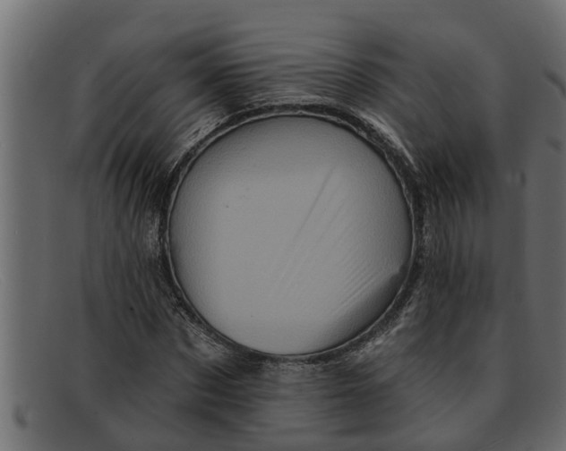 X0000091910873200709191318