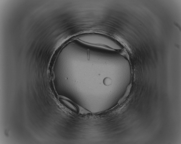 X0000091910876200709191318