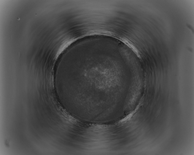 X0000091910877200709191318