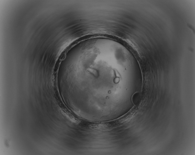 X0000091910879200709191318