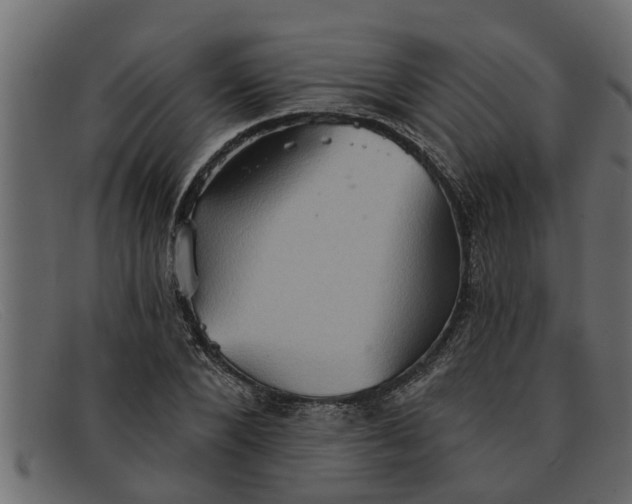 X0000091910880200709191318