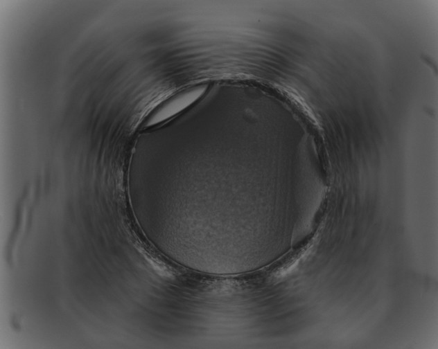 X0000091910881200709191318