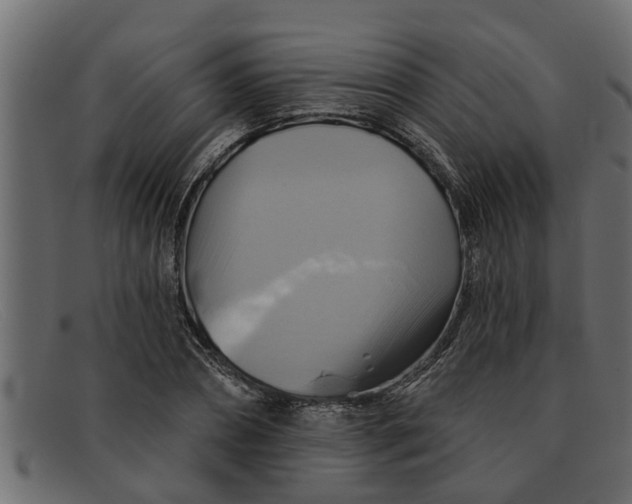 X0000091910882200709191318